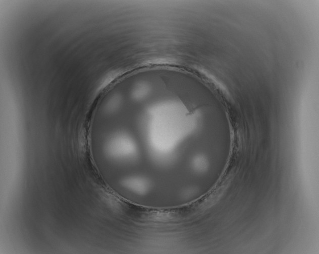 X0000111121266200906301303