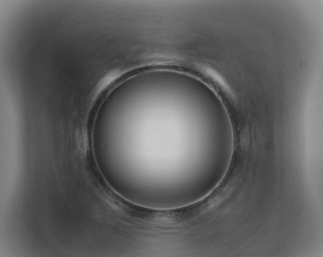 X0000111121267200906301303