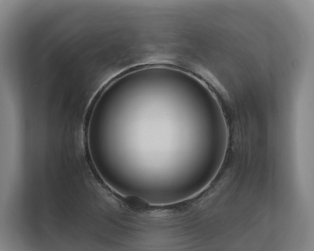 X0000111121268200906301303