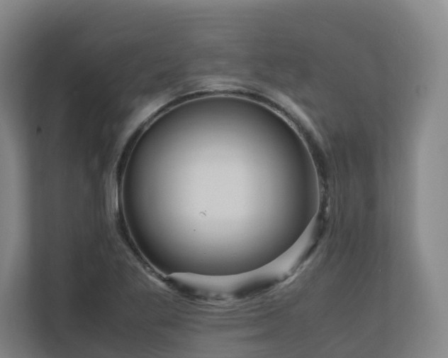 X0000111121269200906301303