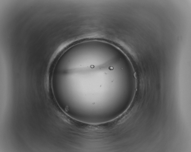 X0000111121270200906301303