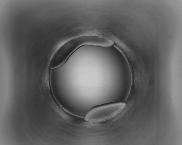 X0000111121272200906301303