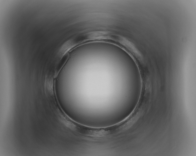 X0000111121273200906301303