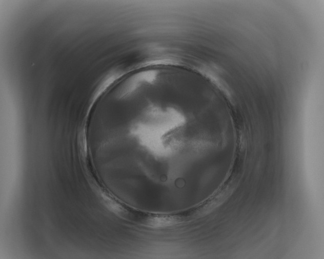 X0000111121274200906301303