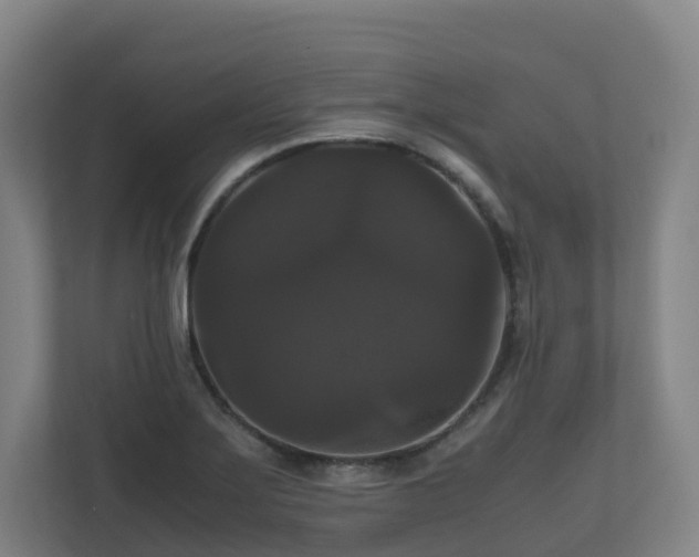 X0000111121275200906301303