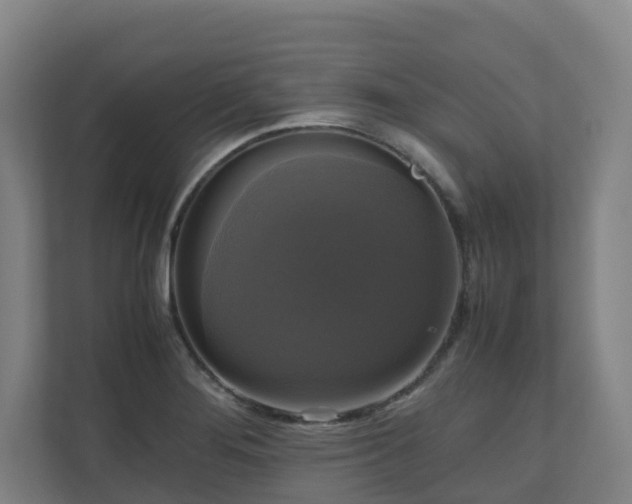 X0000111121276200906301303