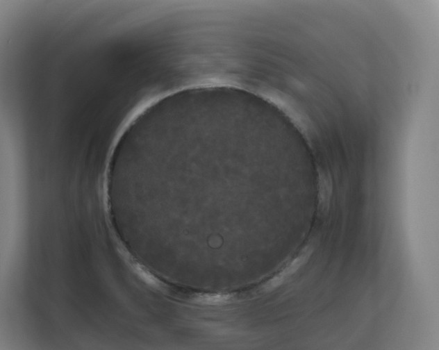 X0000111121278200906301303