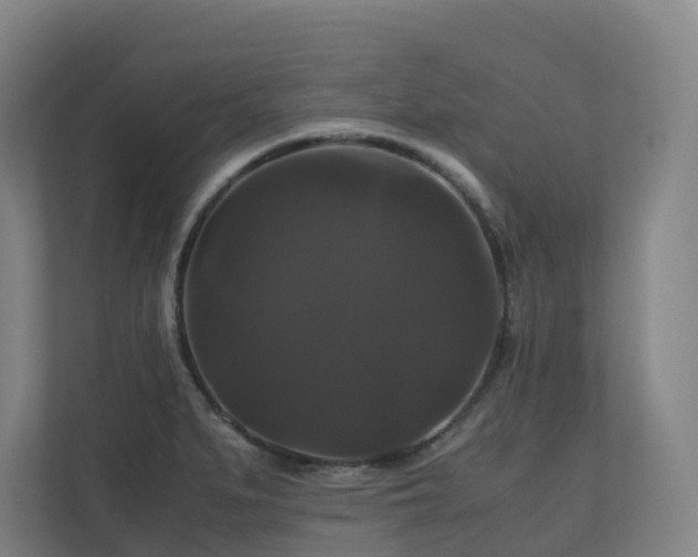 X0000111121279200906301303