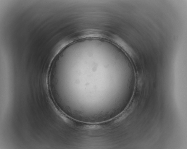 X0000111121282200906301303
