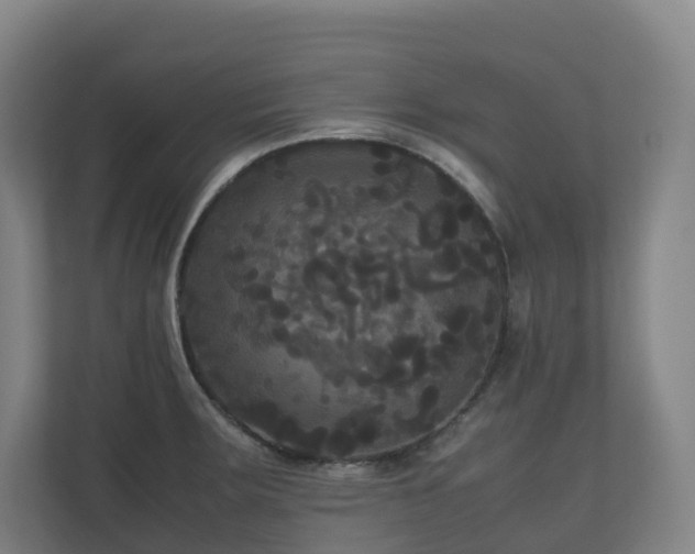 X0000111121283200906301303