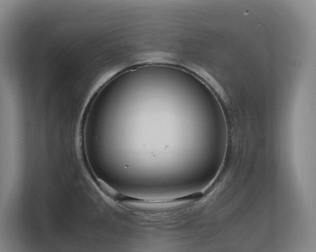 X0000111121285200906301303
