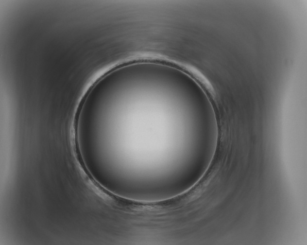 X0000111121287200906301303