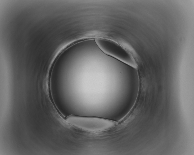 X0000111121288200906301303