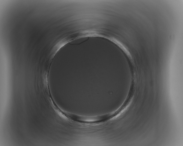X0000111121289200906301303