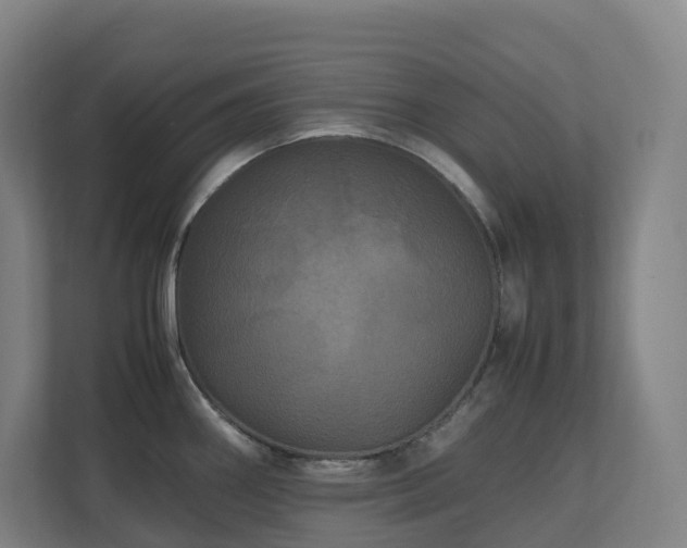 X0000111121290200906301303