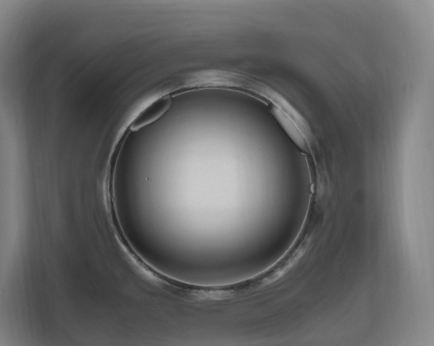 X0000111121293200906301303