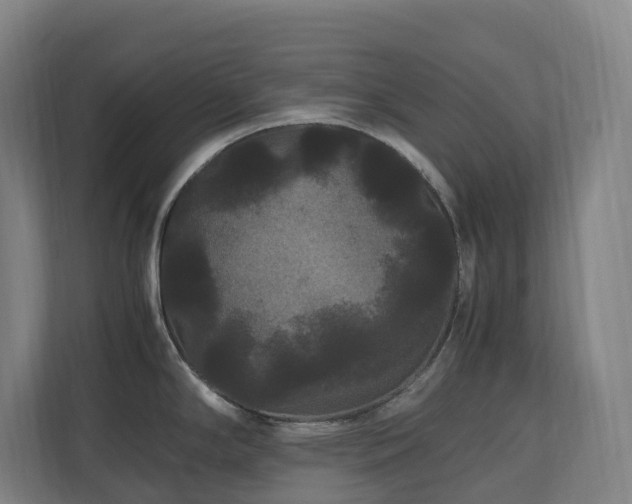 X0000111121294200906301303