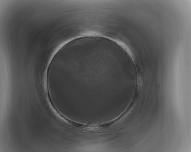 X0000111121295200906301303