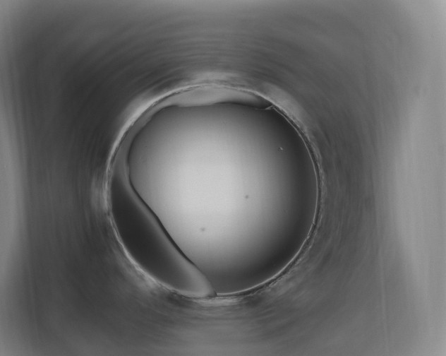 X0000111121296200906301303