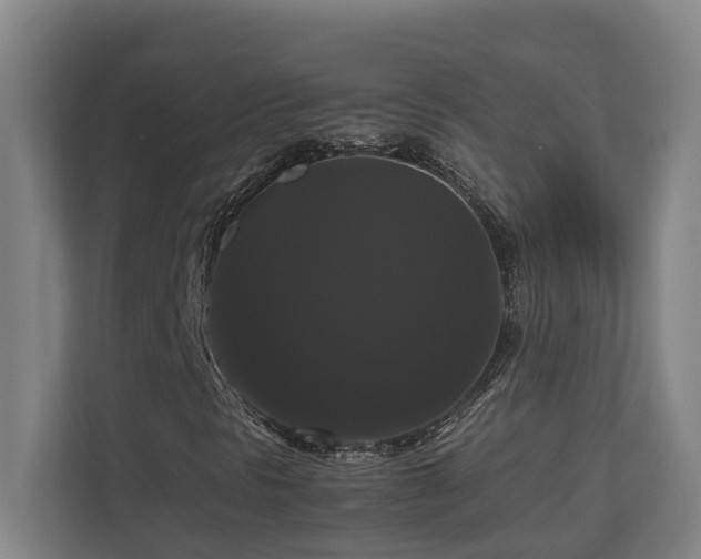 X0000111121297200906301302