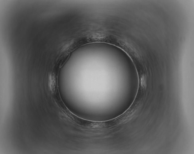 X0000111121299200906301302
