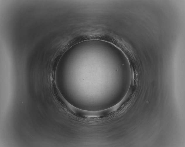 X0000111121300200906301302