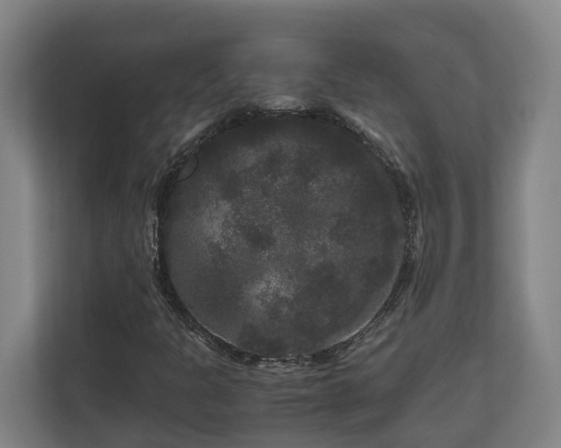 X0000111121301200906301302