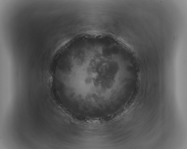 X0000111121302200906301302