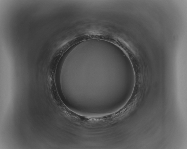 X0000111121303200906301302