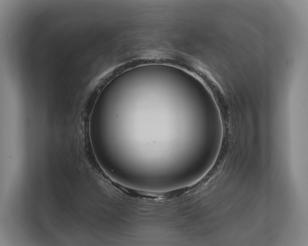 X0000111121304200906301302