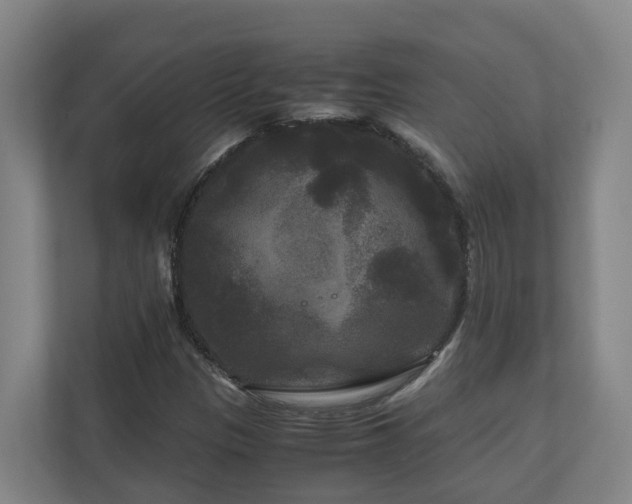 X0000111121305200906301302