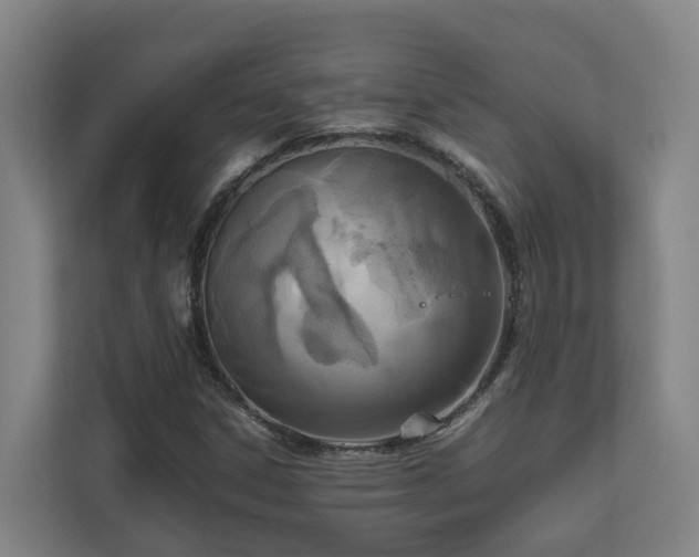 X0000111121306200906301302