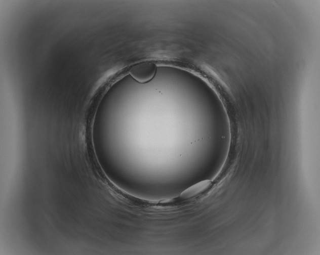 X0000111121307200906301302