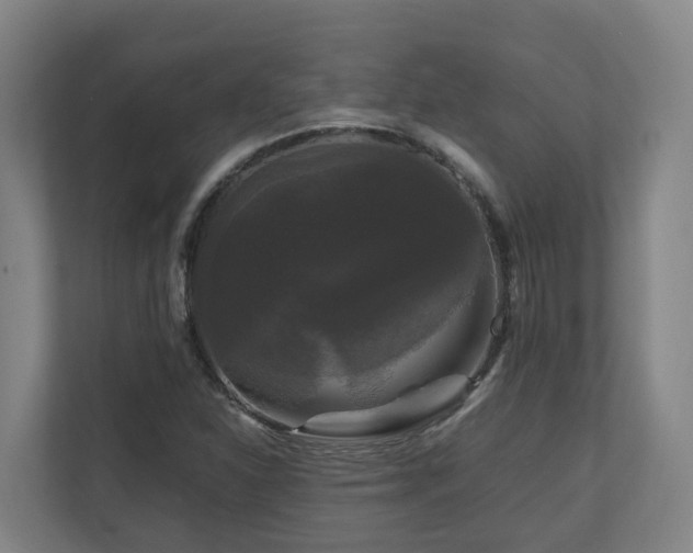 X0000111121310200906301302