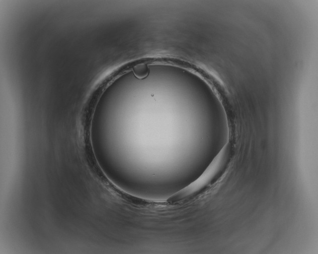 X0000111121311200906301302