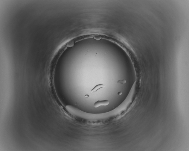 X0000111121312200906301302