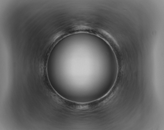 X0000111121313200906301302