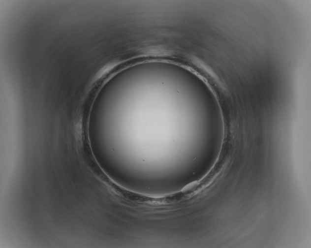 X0000111121315200906301302