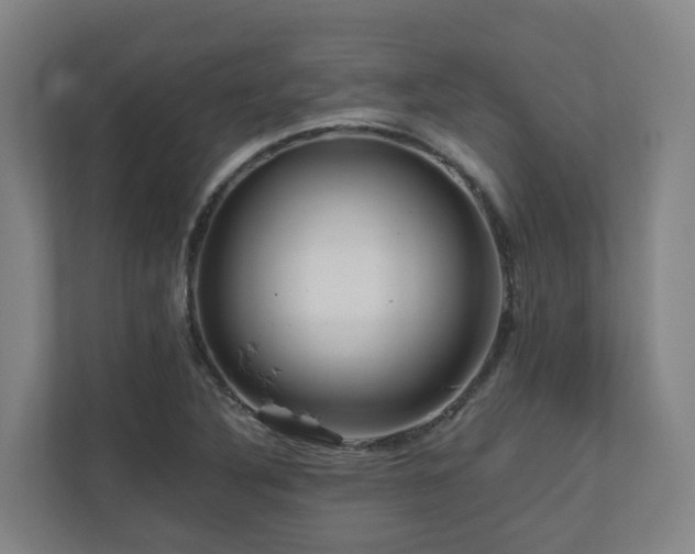 X0000111121316200906301302