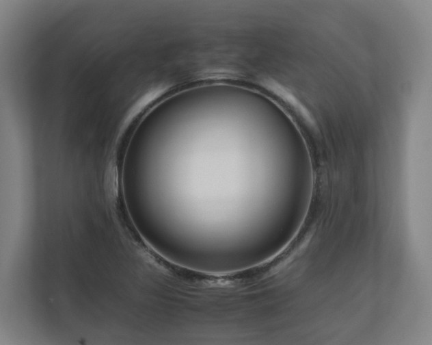 X0000111121317200906301302