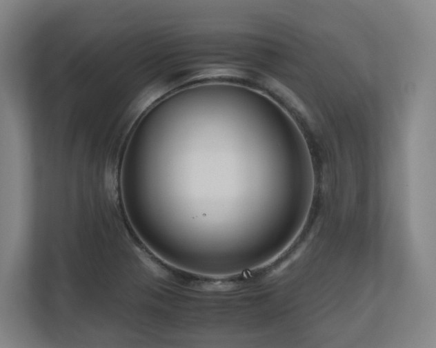 X0000111121321200906301303