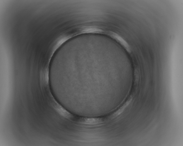 X0000111121322200906301303