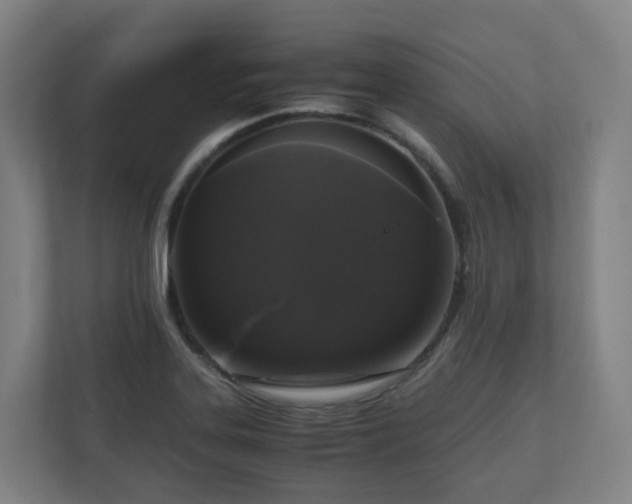 X0000111121323200906301303