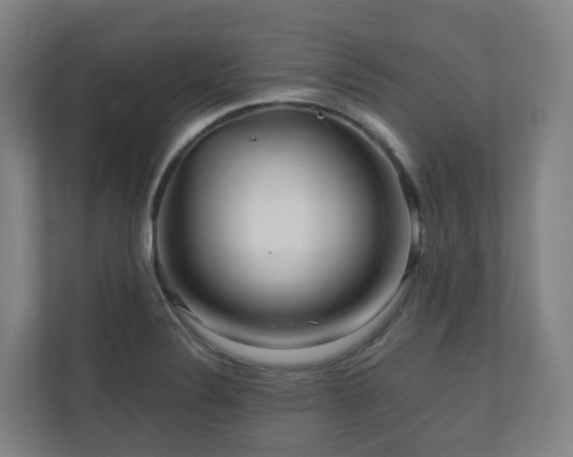 X0000111121324200906301303