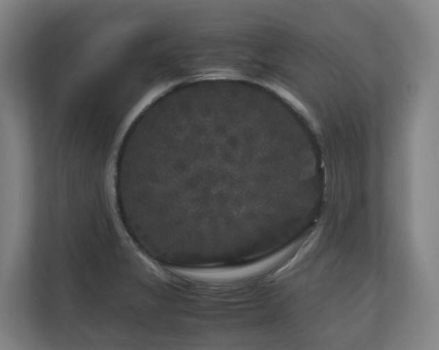 X0000111121325200906301303