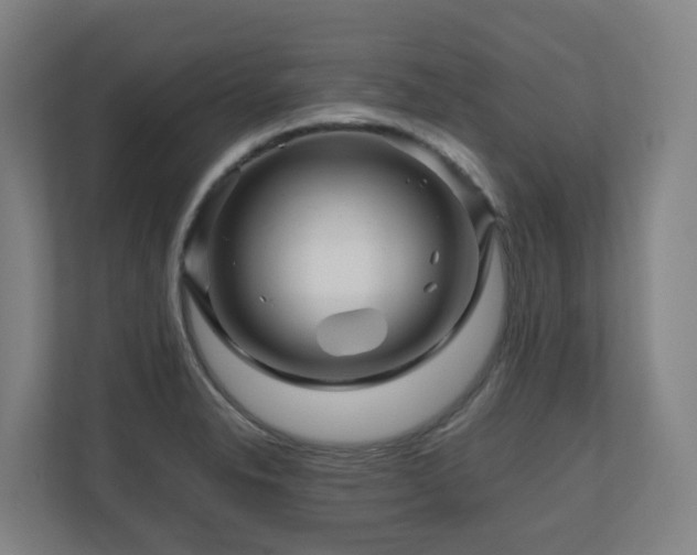 X0000111121326200906301303