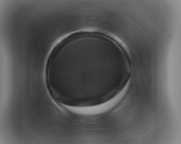 X0000111121327200906301303