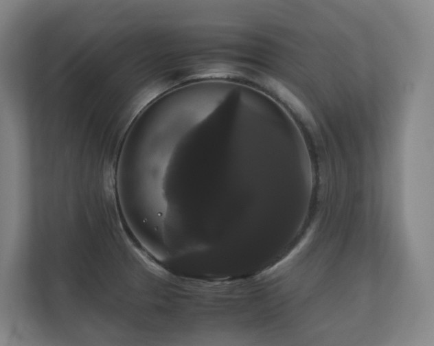 X0000111121329200906301303