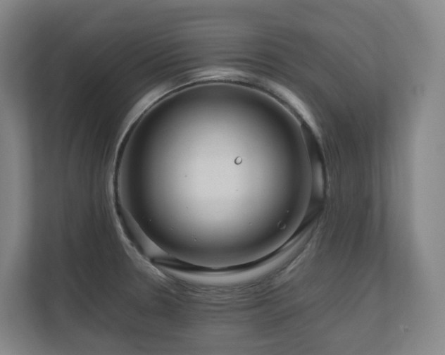 X0000111121330200906301303