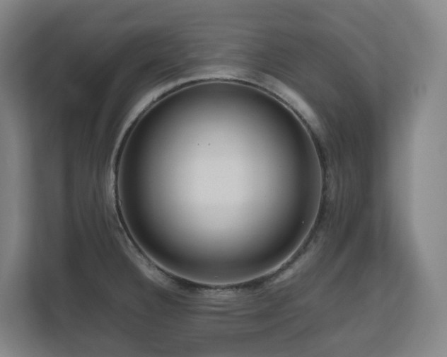 X0000111121332200906301303